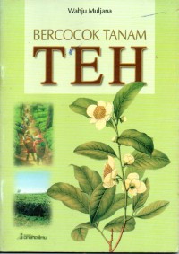 Image of Bercocok tanam teh