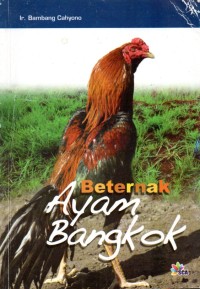 Image of Berternak Ayam Bangkok