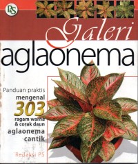 Image of Galeri Aglaonema
