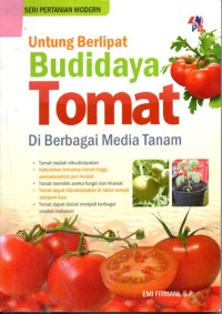 Image of Untung Berlipat Budidaya Tomat di Berbagai Media Tanam